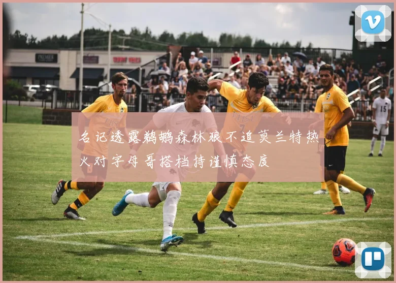 名记透露鹈鹕森林狼不追莫兰特热火对字母哥搭档持谨慎态度
