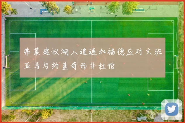 弗莱建议湖人追逐加福德应对文班亚马与约基奇而非杜伦