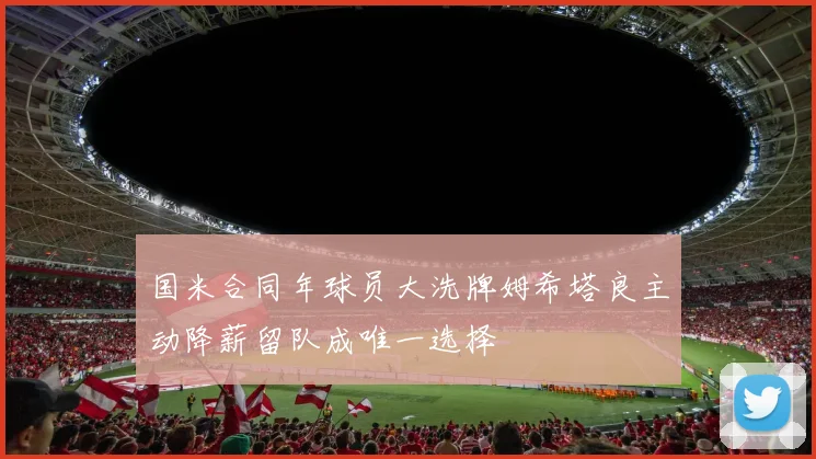 国米合同年球员大洗牌姆希塔良主动降薪留队成唯一选择